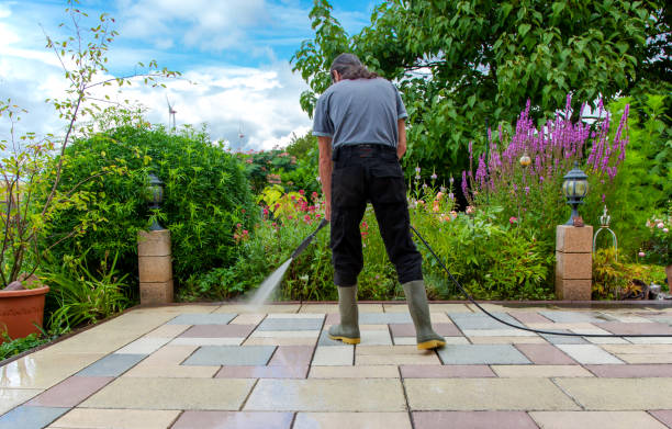 Best Animal Enclosure Cleaning  in Fairbanks Ranch, CA